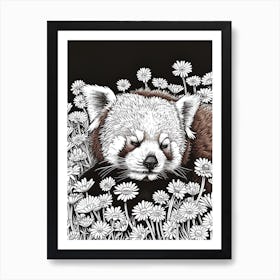 Red Panda Resting In A Field Of Daisies Ink Illustration 3 Art Print