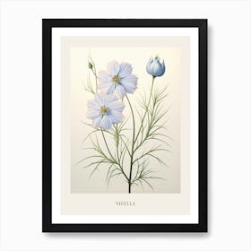 Floral Illustration Love In A Mist Nigella 1 Poster Art Print