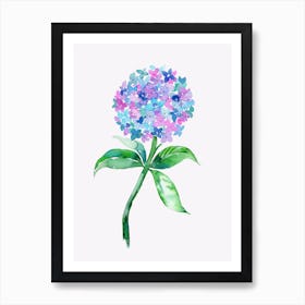 Hydrangea Flower Art Print