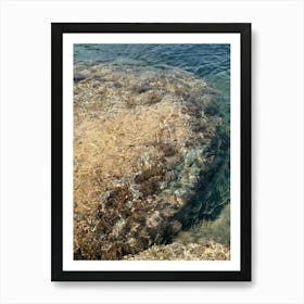 Rocky shore and clear sea water Art Print