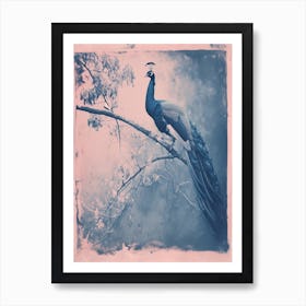 Peacock In The Tree Cyanotype Inspired 3 Art Print