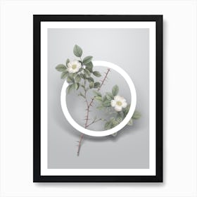 Vintage Spiny Rose of Dematra Minimalist Floral Geometric Circle on Soft Gray n.0298 Art Print
