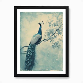 Vintage Turquoise Peacock In A Tree Cyanotype Inspired2 Art Print