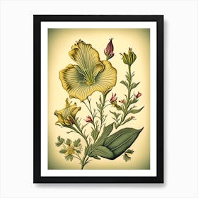 Evening Primrose Wildflower Vintage Botanical 1 Art Print