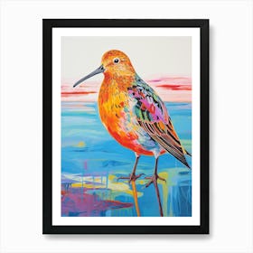 Colourful Bird Painting Dunlin 1 Art Print