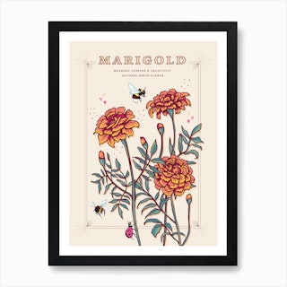 October Birth Flower Marigold On Cream Art Print