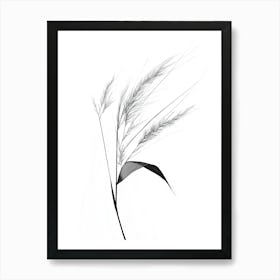 Black And White Grass Art Print