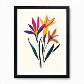 Bird Of Paradise 1 Art Print