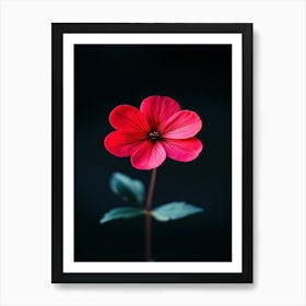 Single Red Flower 9 Art Print