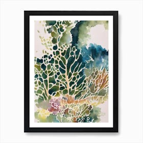 Montipora Vintage Graphic Watercolour Art Print