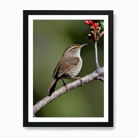 House Wren -Reimagined 11 Art Print