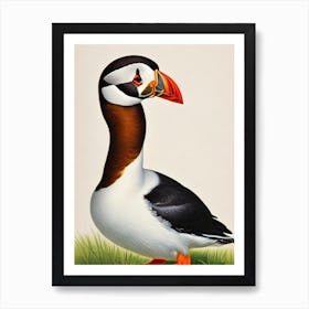 Puffin James Audubon Vintage Style Bird Art Print