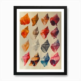 Seashells Art Print