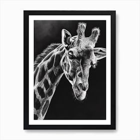 Black & Grey Pencil Drawing Giraffe Drawing Art Print