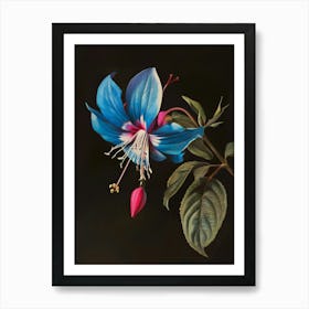 Blue Fuchsia Art Print