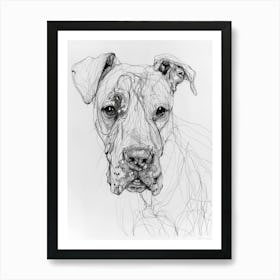 Dogo Argentino Dog Line Sketch 3 Art Print