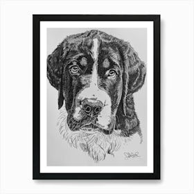 Greater Swiss Mountain Dog Line Sketch 2 Poster