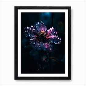 Raindrops On A Flower Art Print