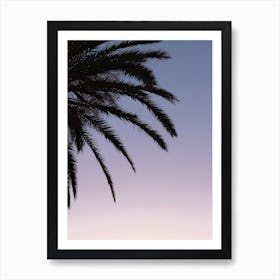 Palm On Pink And Purple Sky Art Print