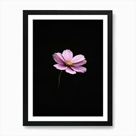 Single Pink Flower On Black Background Art Print