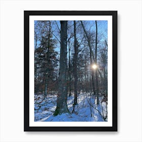 Sun In The Woods Art Print