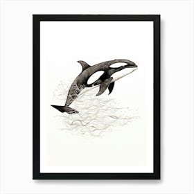 Orca Whale Pencil Line Drawing 2 Art Print