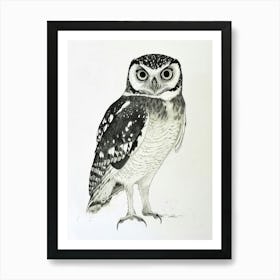 Spectacled Owl Drawing 2 Art Print