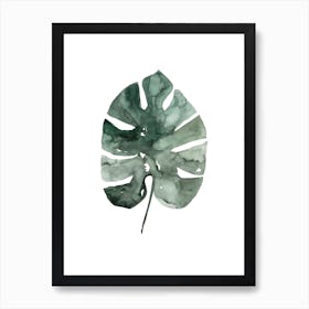 Botanical Illustration Monstera Leaf Art Print