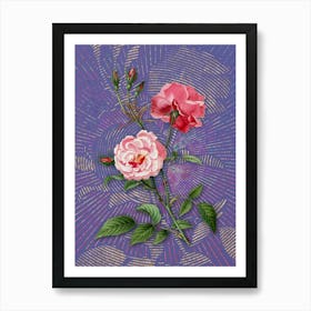 Vintage Ever Blowing Rose Botanical Illustration on Veri Peri n.0443 Art Print