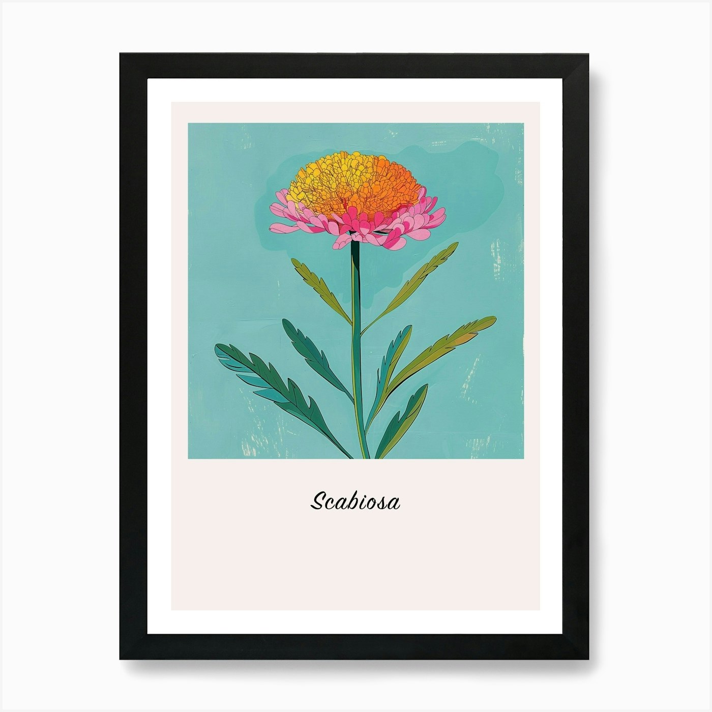Scabiosa 1 Square Flower Illustrati Framed Wall Art Poster Canvas Print Picture - Picture 2 of 4