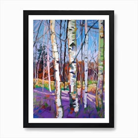 Birch Forest - Birch Trees Art Print