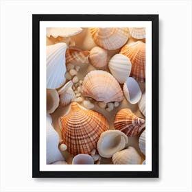 Sea Shells 1 Art Print