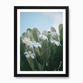 Fleur Art Print