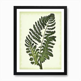 Royal Fern Wildflower Vintage Botanical 1 Art Print