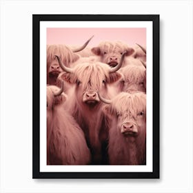 Heard Of Highland Cows Pink Realistic Photography 1 Art Print