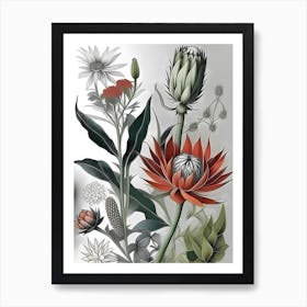 Botanical Illustration 1 Art Print