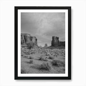 Monochrome Monument Valley on Film Art Print