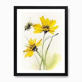 Tickseed Wildflower Watercolour Art Print