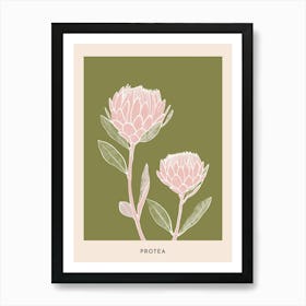 Pink & Green Protea 1 Flower Poster Art Print