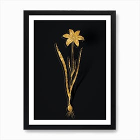 Vintage Lady Tulip Botanical in Gold on Black n.0418 Art Print