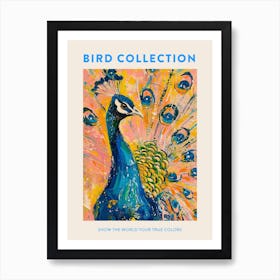 Peacock & Feathers Colourful Portrait 5 Poster Art Print