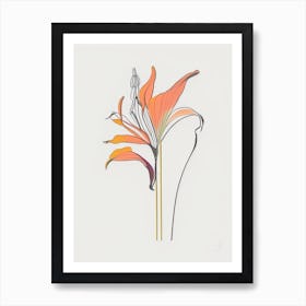 Lilium Floral Minimal Line Drawing 3 Flower Art Print