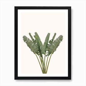 Pastel Banana Palm Art Print