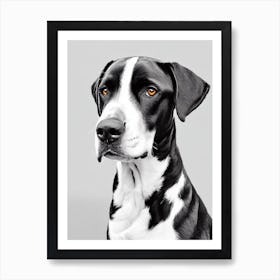 Greater Swiss Mountain Dog B&W Pencil Dog Art Print