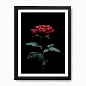 Single Rose On Black Background 40 Art Print