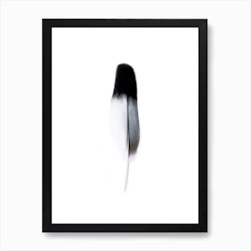 Black And White Feather Spirit Art Print