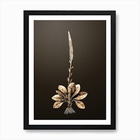 Gold Botanical Blazing Star on Chocolate Brown n.0542 Art Print