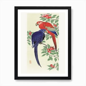 Red And A Blue Parrot (1925 1936), Ohara Koson Art Print