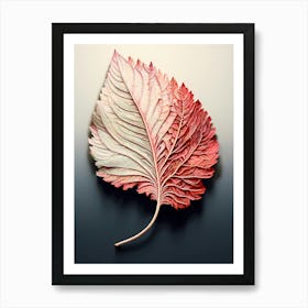 Leaf On A Black Surface Art Print