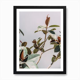 Minimalist Plant On Grey Art Print
